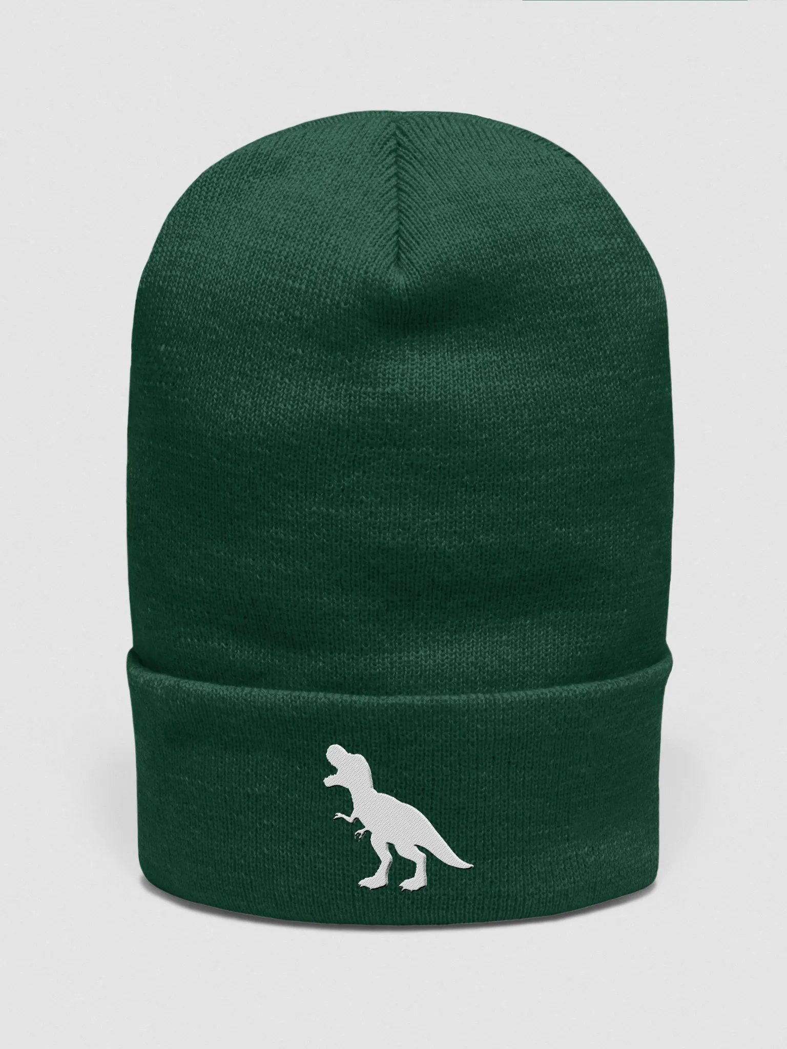 DINOSAUR Beanie product image (2)