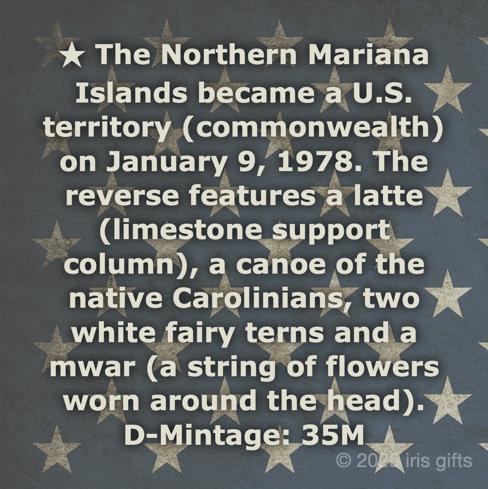 1999-2009 / Denver / State & US Territories Quarters / Printable INFO Cards product image (3)