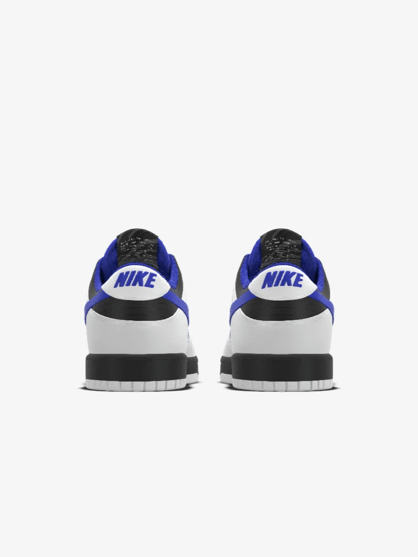 Alluci x Nike Verus Fair Launch Low Retro Dunk product image (5)