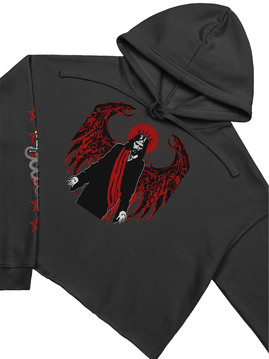 Morningstar Fleece Crop Hoodie product image (3)