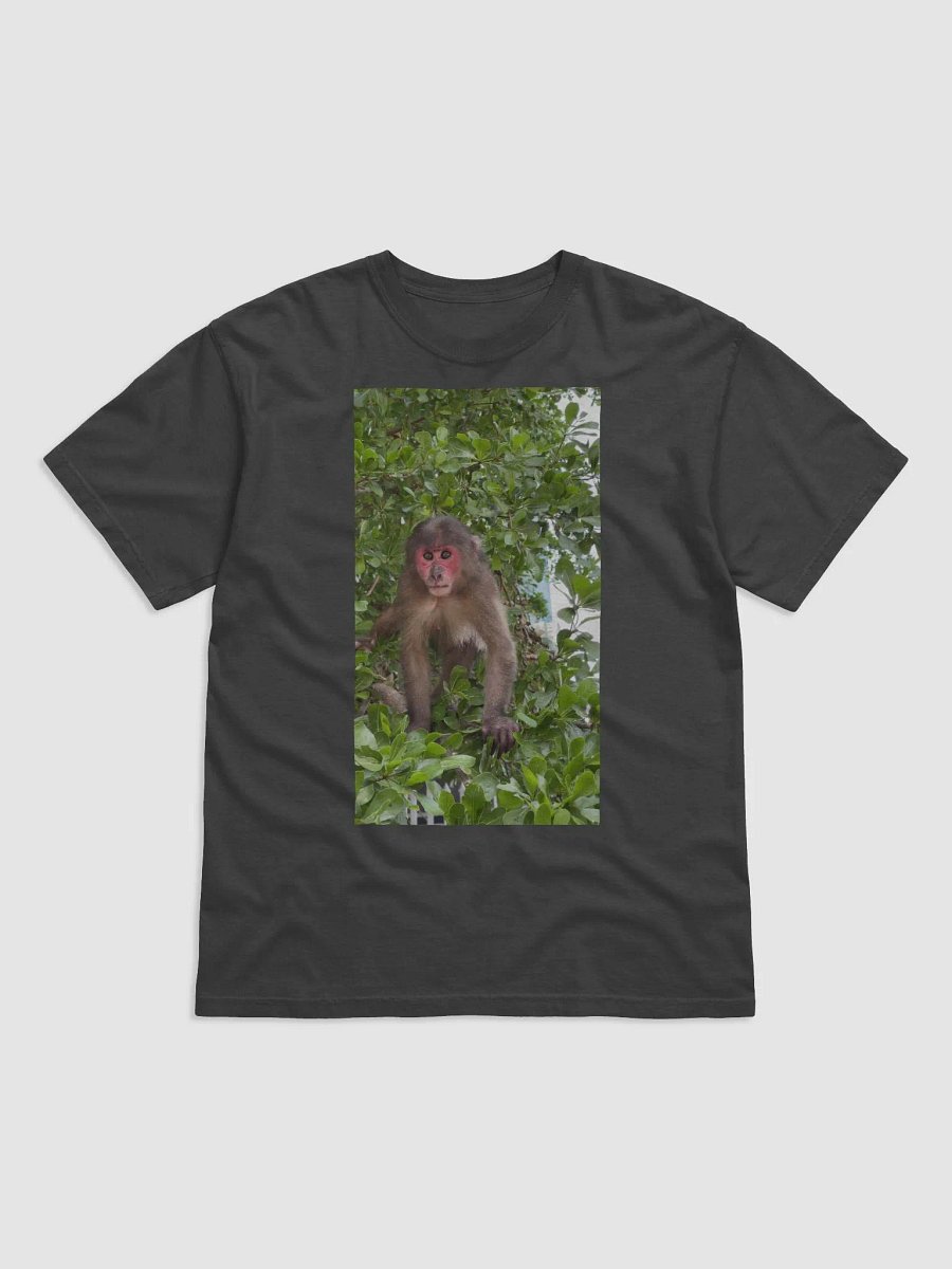 Monkey Coca product image (1)