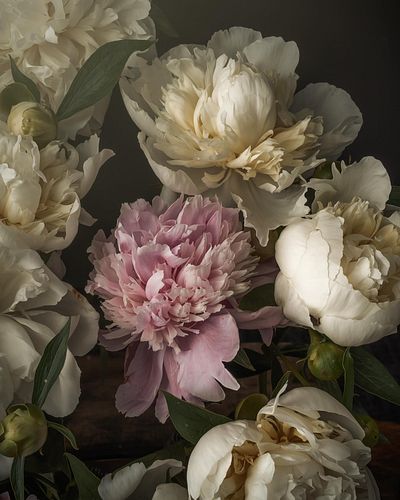 Wishing for Spring