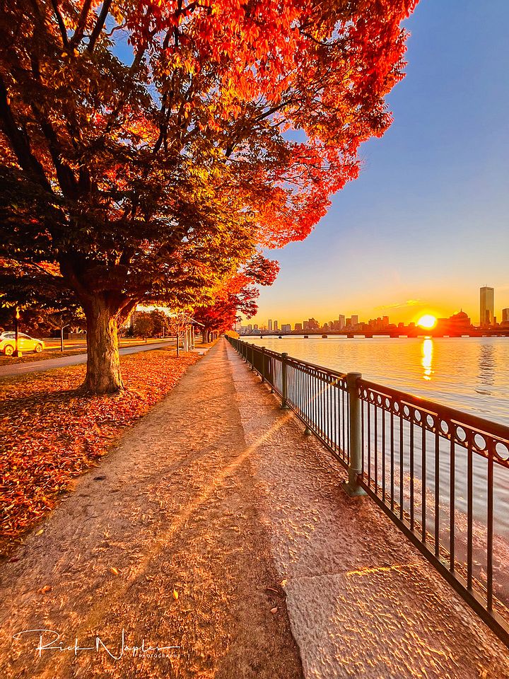 SUNRISE & SUNSETS product image (2)