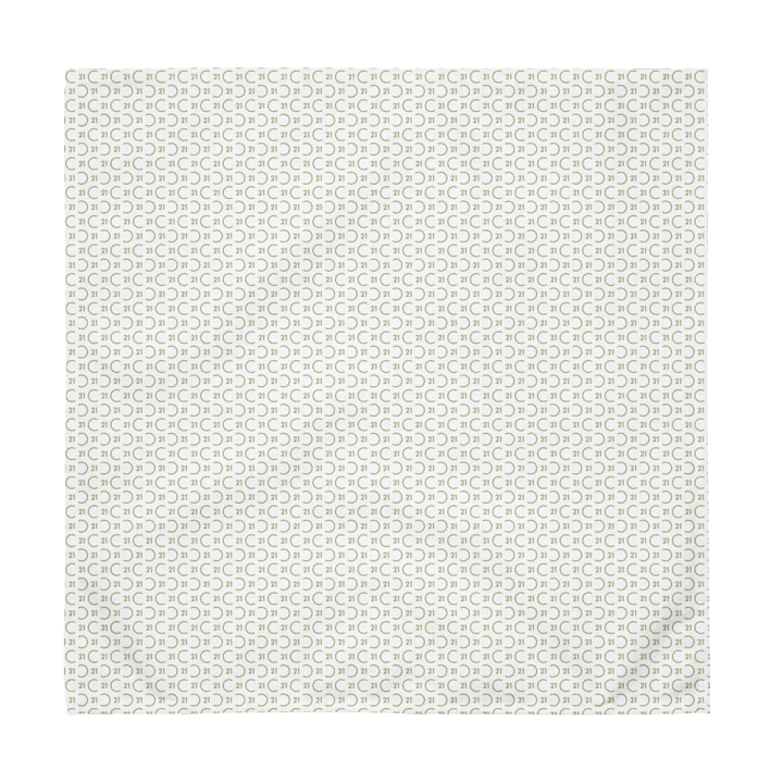 Seal Pattern Cloth Napkin Set (4) product image (1)