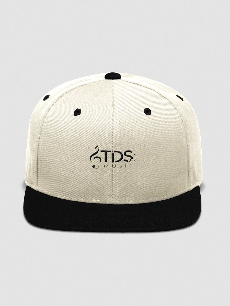 TDS Music Yupoong Snapback Cap - Wool Blend, High Profile product image (3)