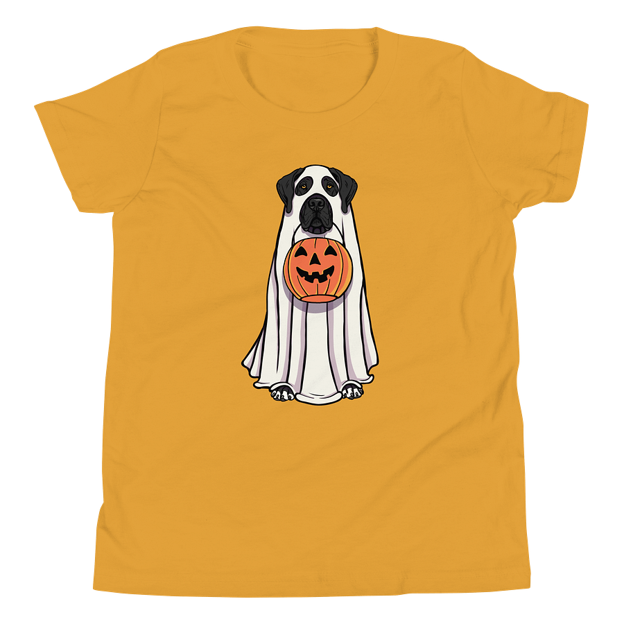 Halloween Great Dane(Black) Youth T-Shirt product image (5)