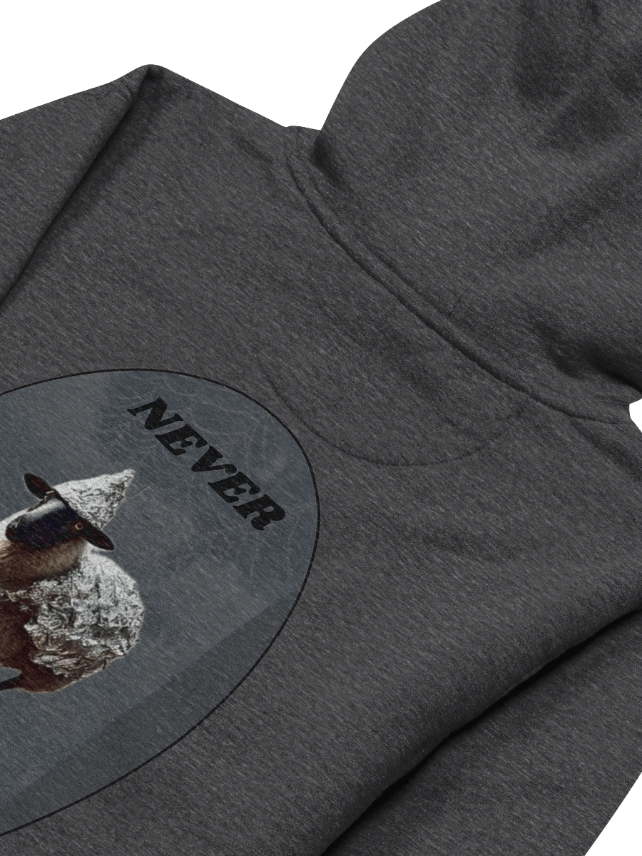 Webs & Shadows Black Sheep Hoodie product image (4)