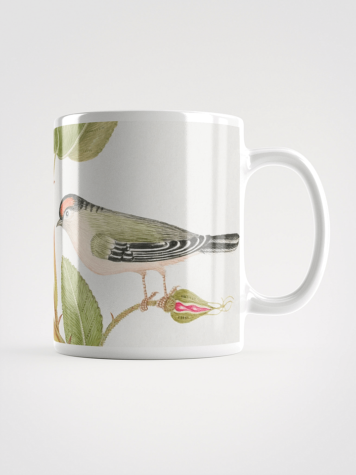 Rose Garden Serenade Mug product image (1)