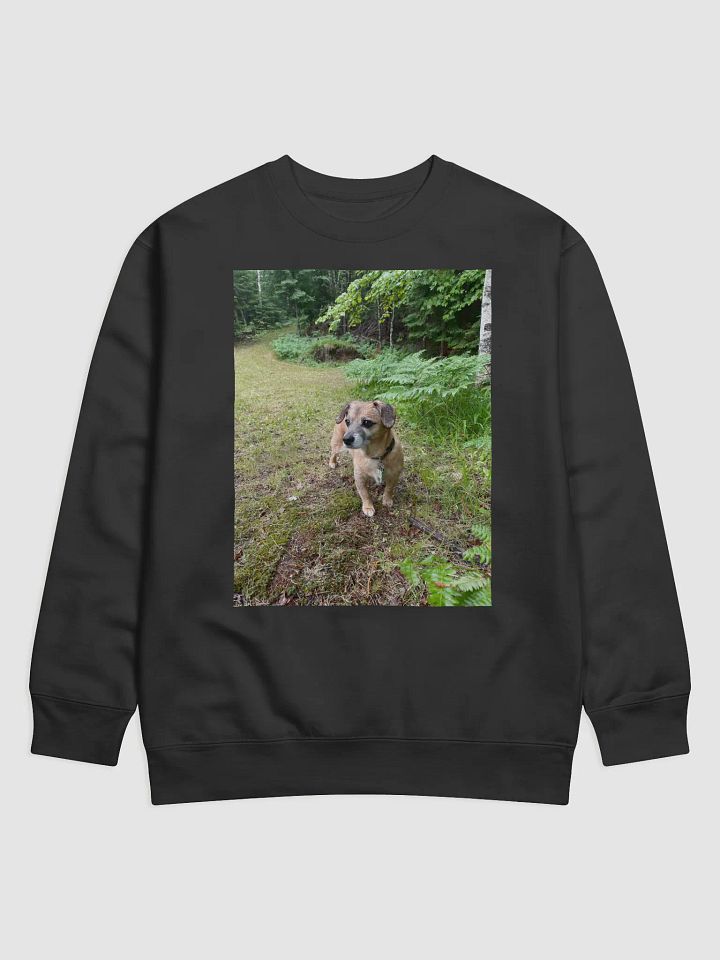 Rocky Sweatshirt product image (1)