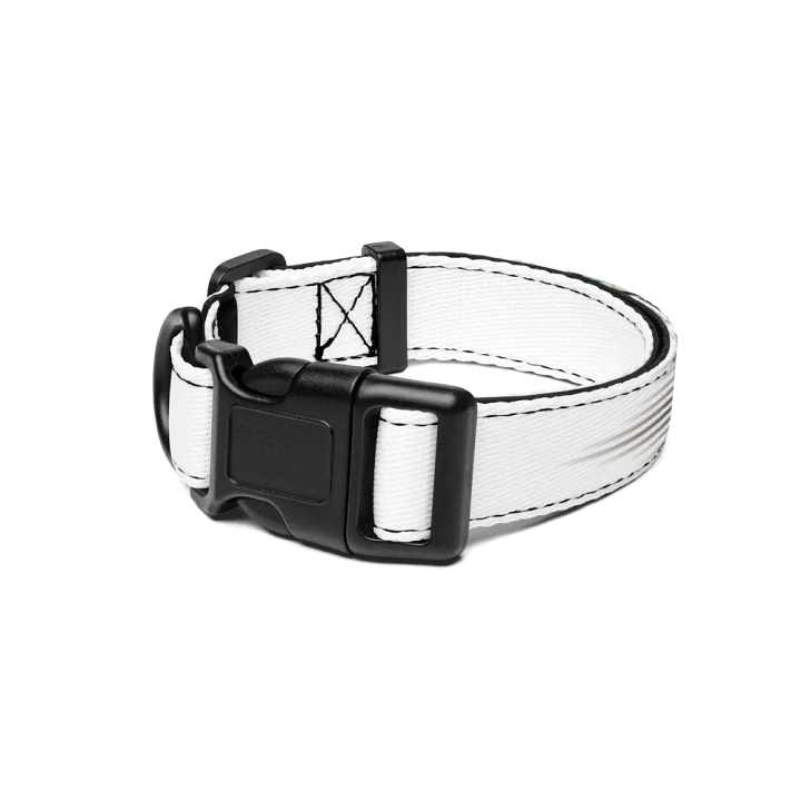 Pet Collar Cute.CunFashion.com product image (1)