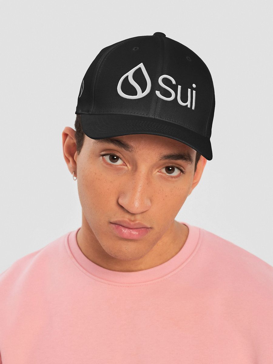 Flexfit Structured Fitted Cap/Sui product image (9)