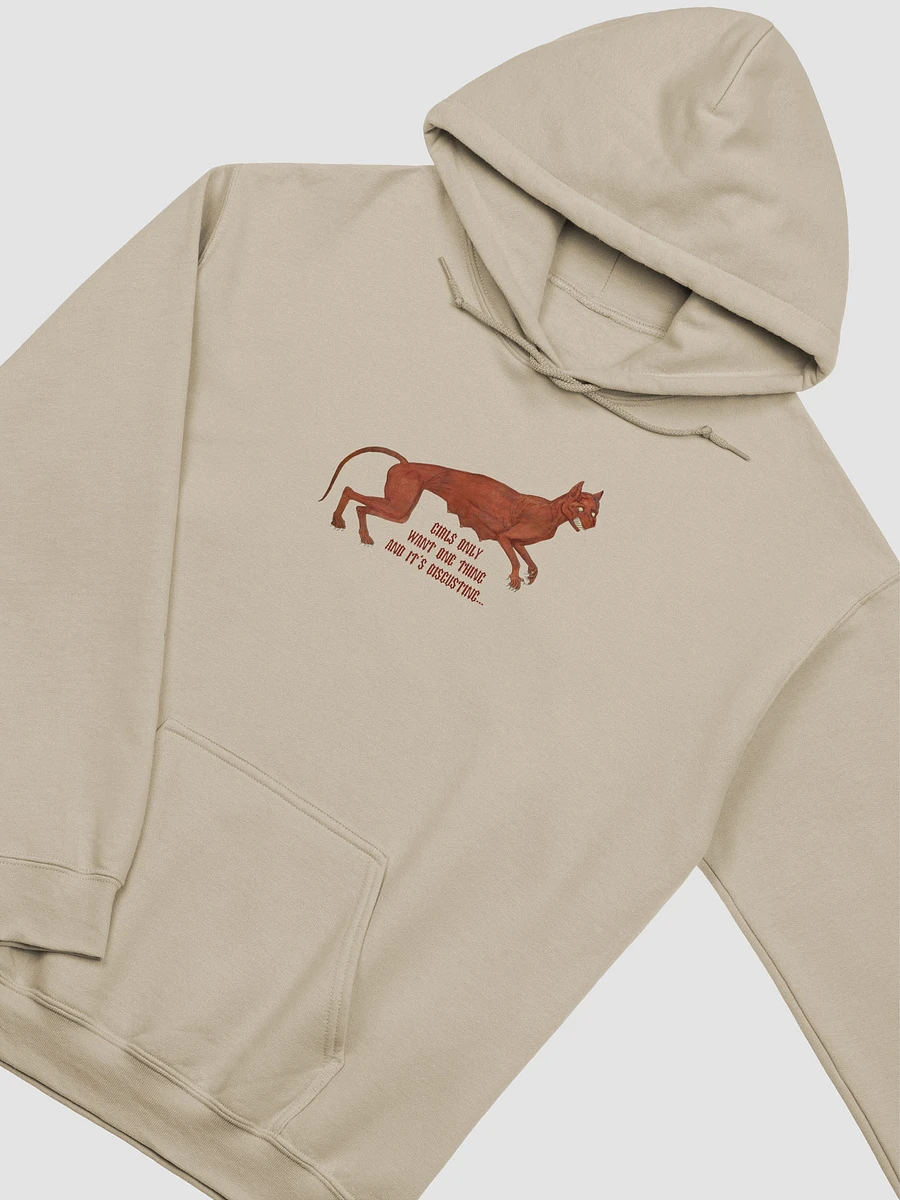 'Girls Only Want One Thing And It's Disgusting...' Hoodie (9 colour options available) product image (3)