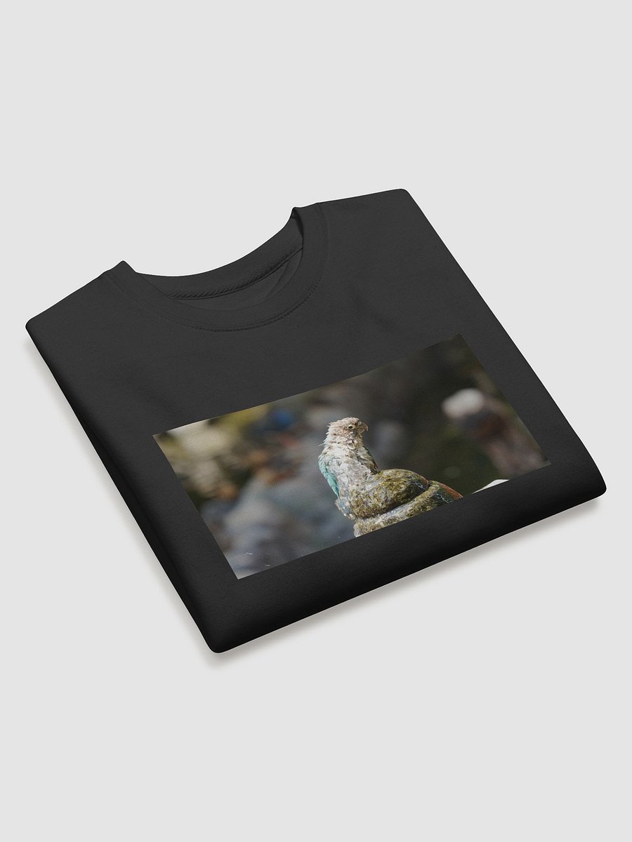 Ruffled Feathers Parrot Sweatshirt product image (3)