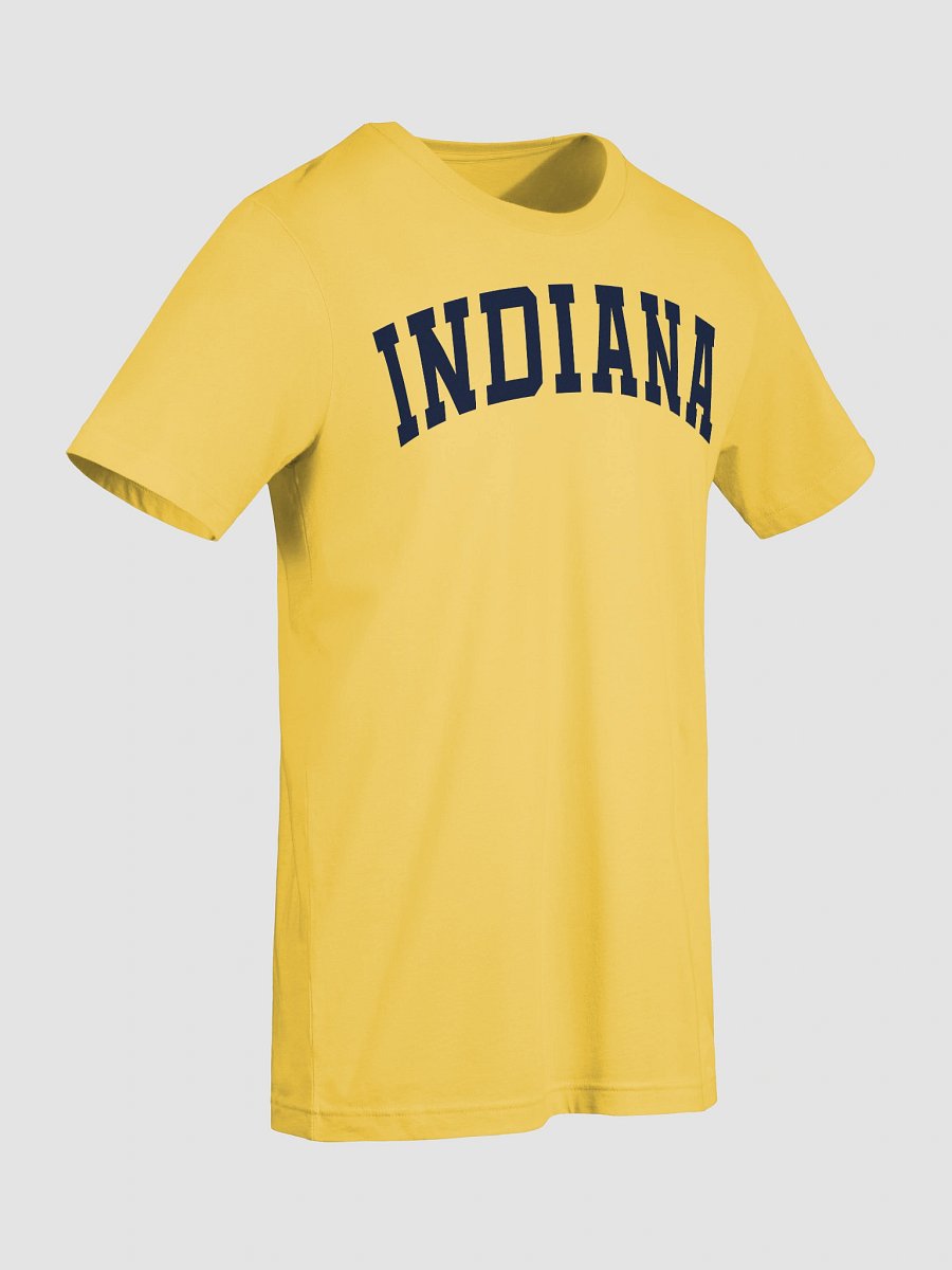 Indiana Vintage Stylish Supersoft Unisex T-Shirt product image (9)
