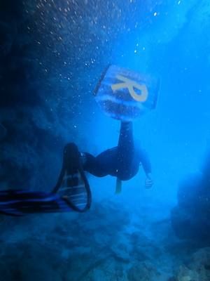 trust me on this one, get a torch for your next underwater dive @OrcaTorch  #scubadiving #freediving #onebreath #divingtips #divetips 