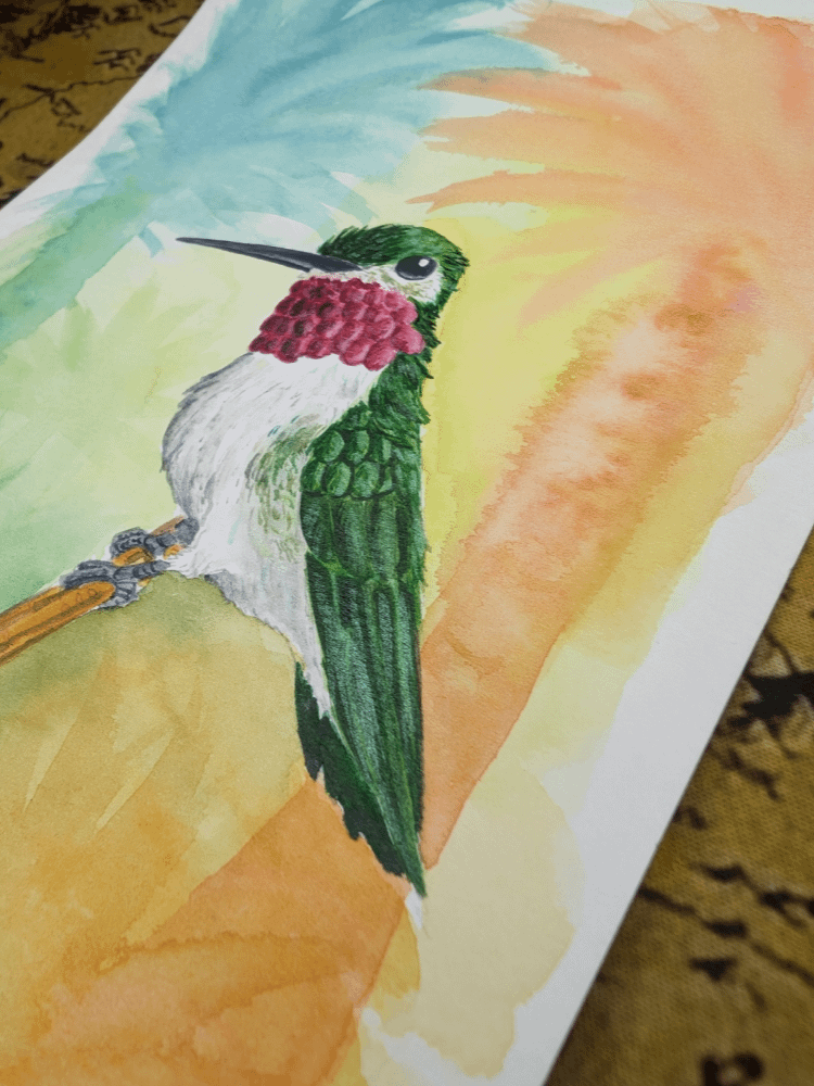 Hummingbird product image (2)