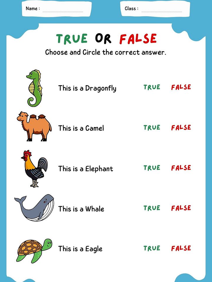 10 Fun Educational Games for Kids! (True or False Videos) product image (2)