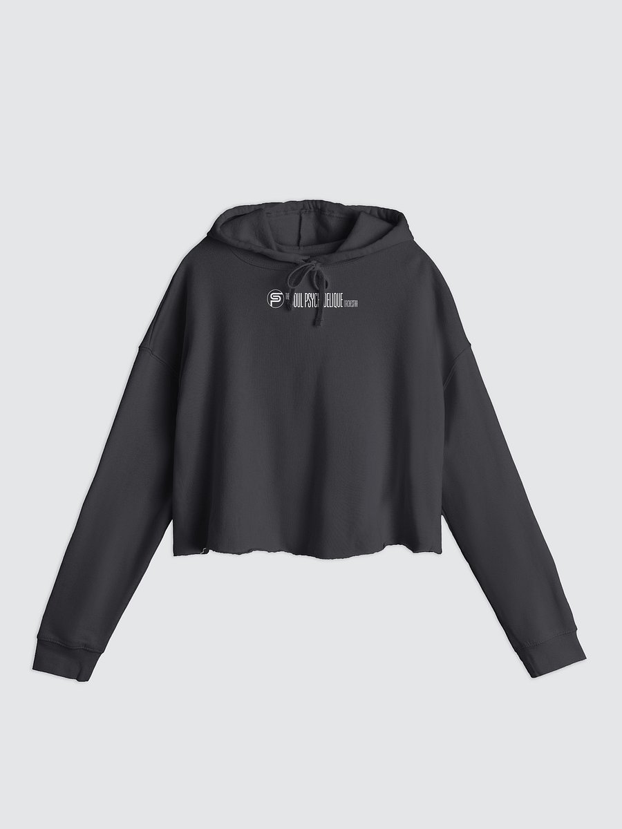 Ladies Crop Top Hoodie product image (1)
