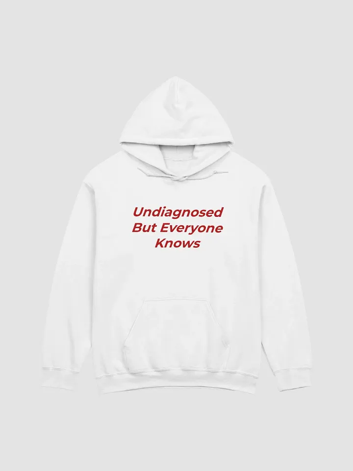 Undiagnosed But Everyone Knows Hoodie product image (1)