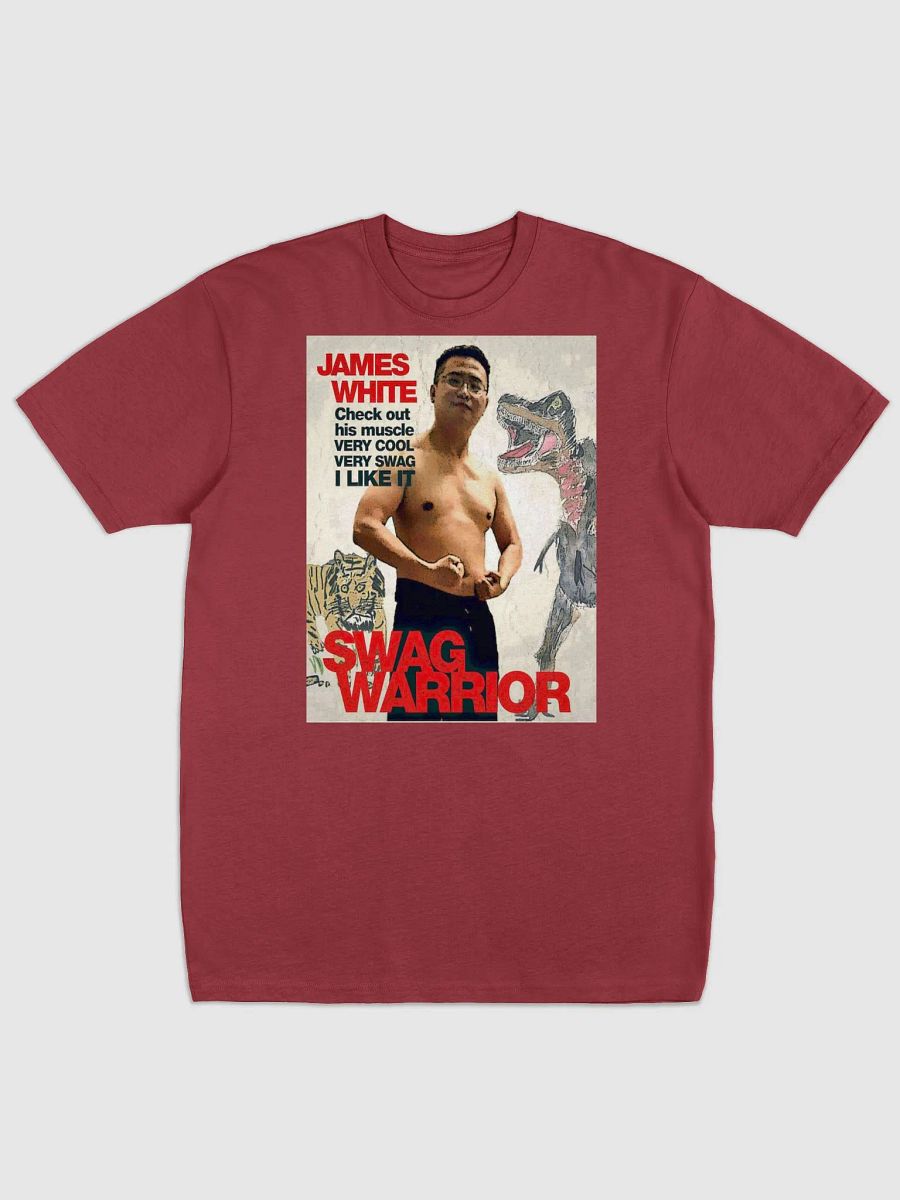 Cotton Heritage Men's Premium Heavyweight Tee: swag warrior product image (5)