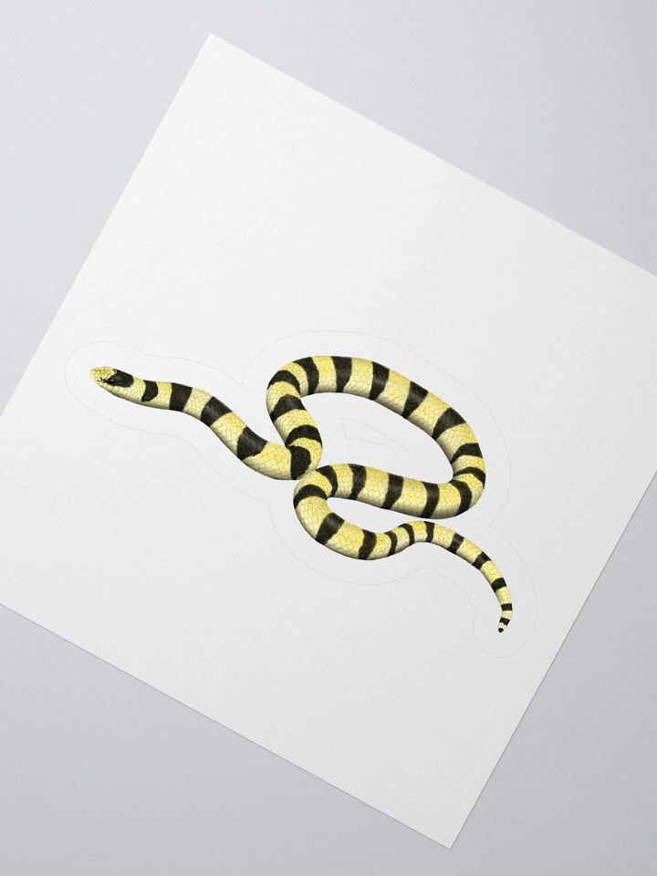 Die-Cut Sticker – Resplendent Shovelnosed Snake (Mohave Phase) product image (2)
