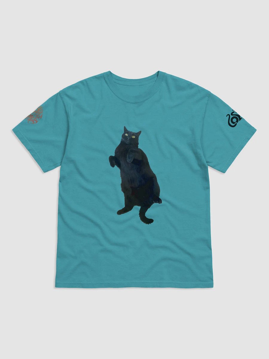 Cosmo Tummy (T-Shirt) product image (49)