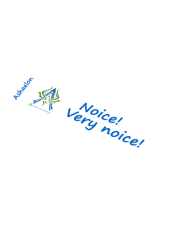 Noice! Very Noice! Custom Kiss Cut Stickers product image (1)