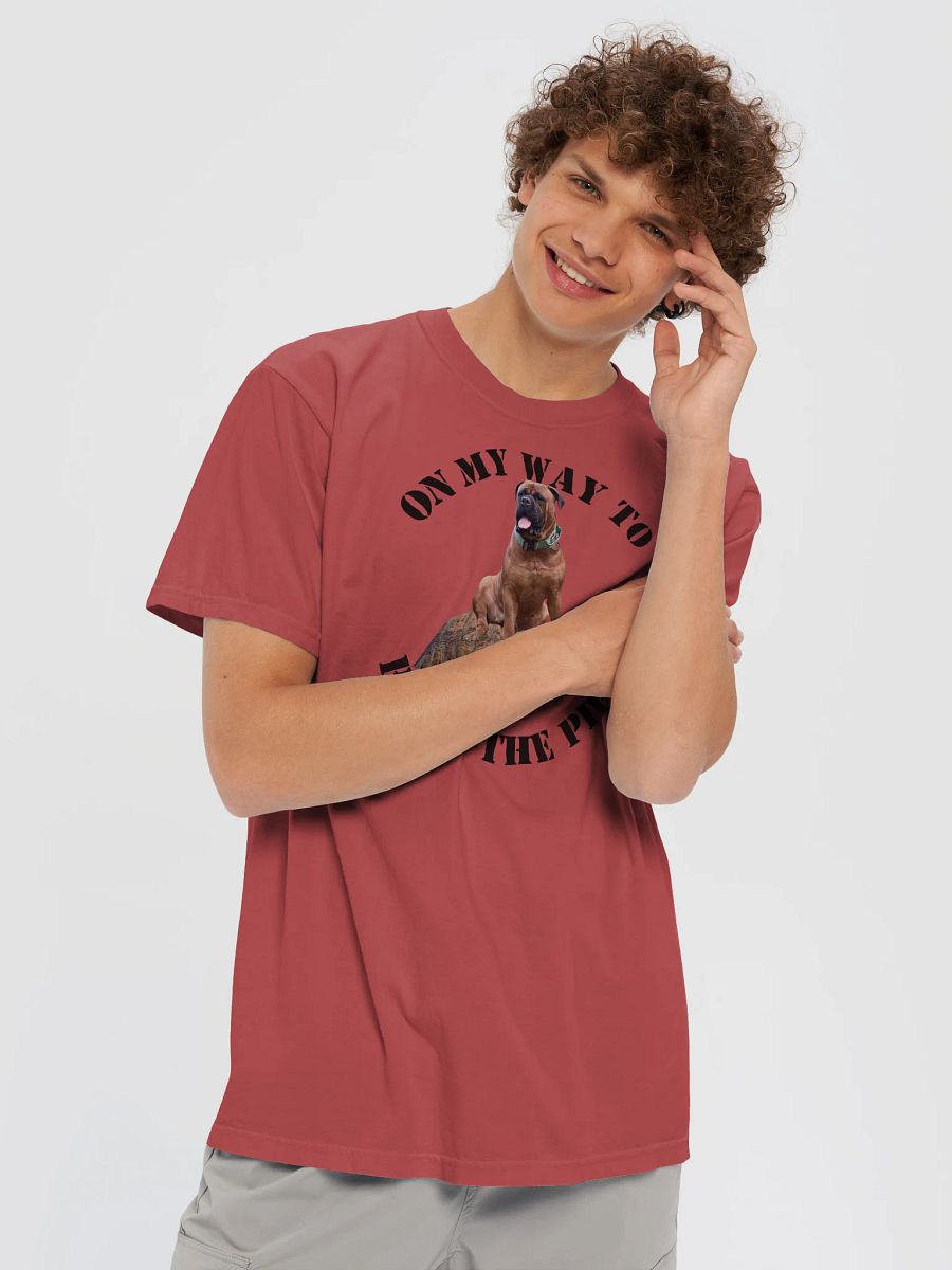 Ride the Pipe Tee product image (9)