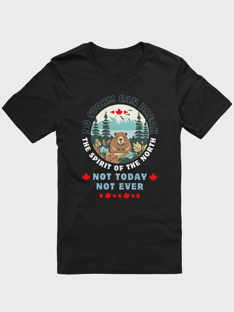 Not Today Beaver T-Shirt product image (8)