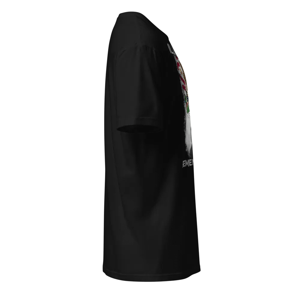 Illinois Remembers product image (5)