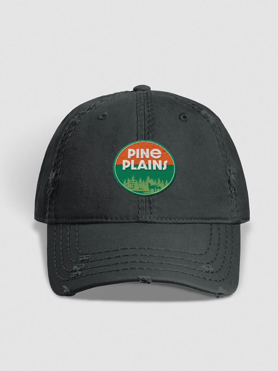 Pine Plains Distressed hat product image (1)
