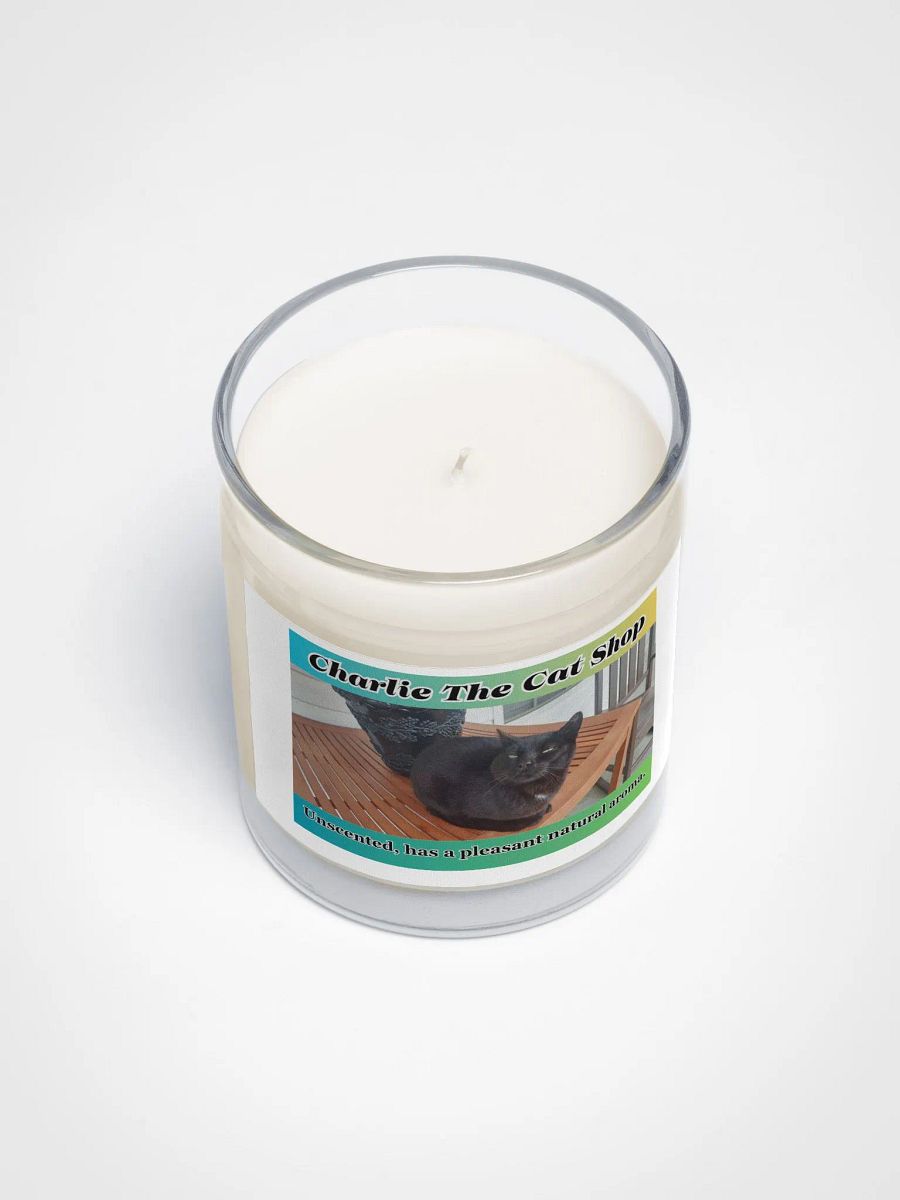 Charlie The Cat Soy Wax Candle In A Clear Glass Jar product image (3)