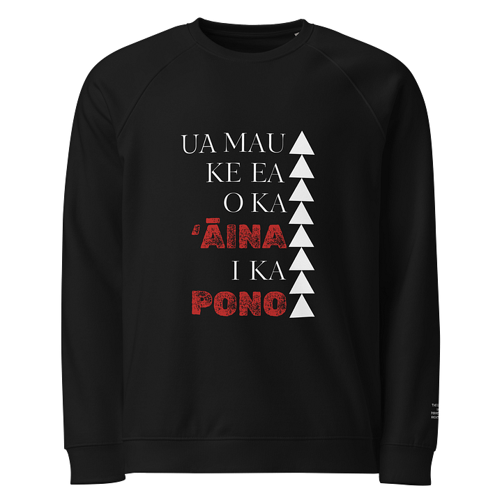 100 % Organic Cotton Raglan Shirt Shirt - Ua Mau Ke Ea O Ka Aina I Ka Pono product image (1)