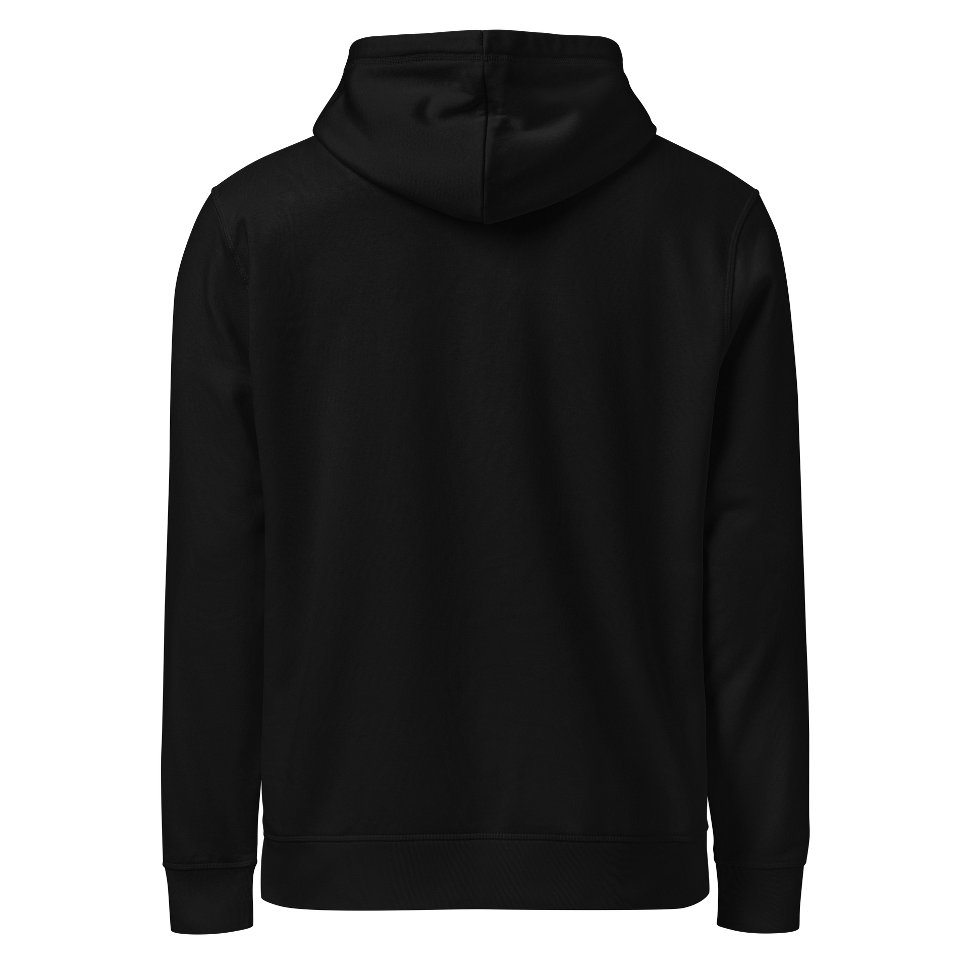 VALEX SPIRIT HOODIE (STICHED) product image (2)