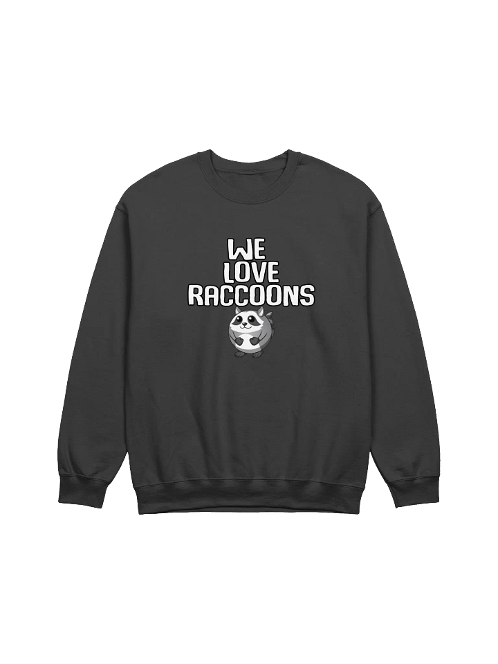 Raccoon Sweater product image (5)