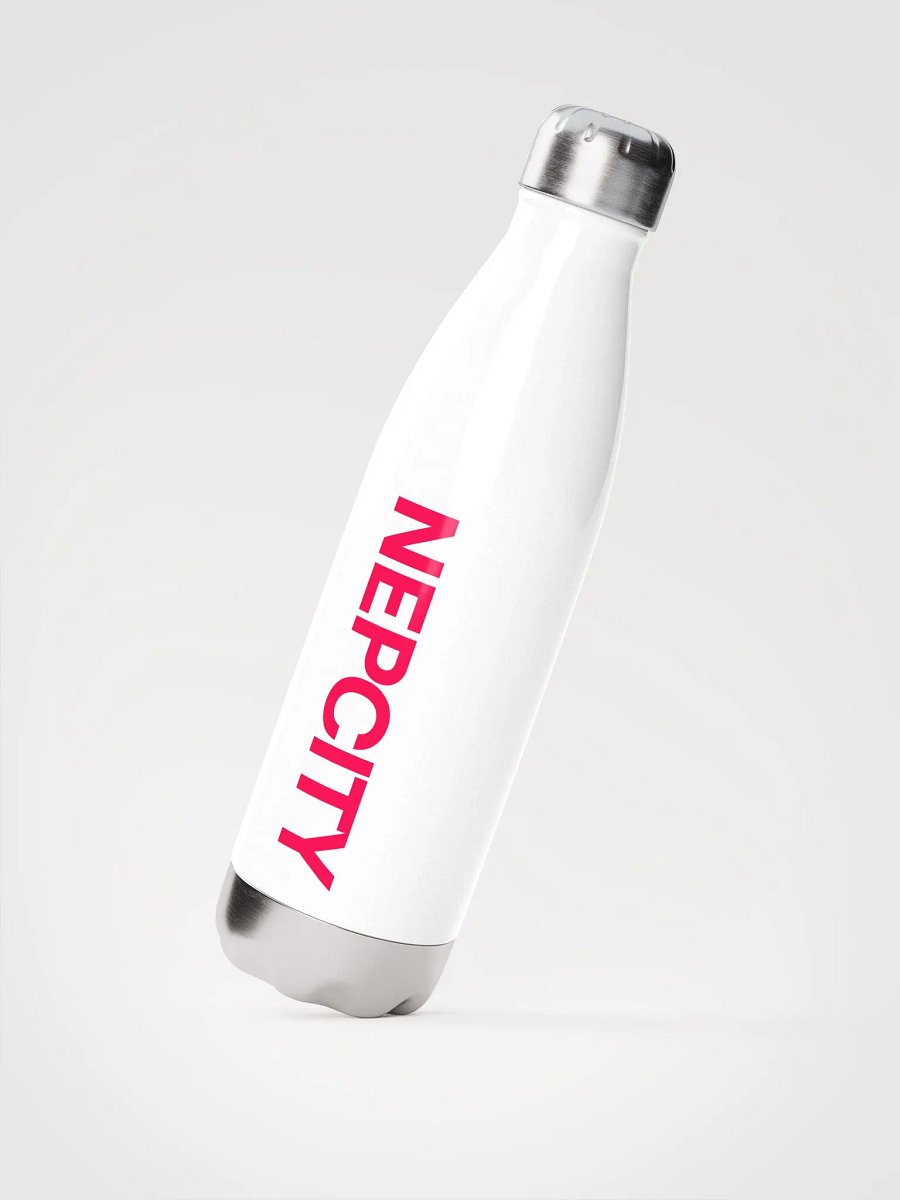 Type 2K25 VOID | NEPCITY Stainless Steel Water Bottle product image (3)