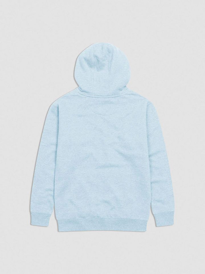 irushtheworld Embroidered Hoodie product image (6)