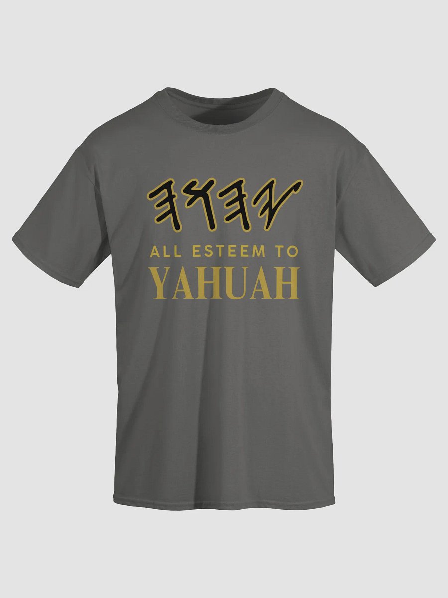 Yasharal Original Music: All Esteem To YAHUAH | T-Shirt | Grey product image (3)