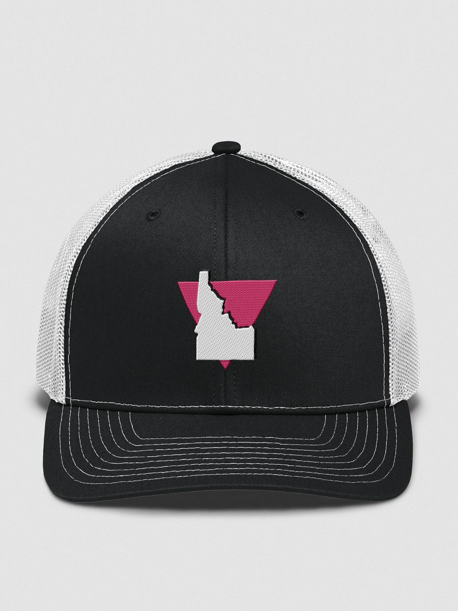 "PINK TRIANGLE" dark hat product image (1)