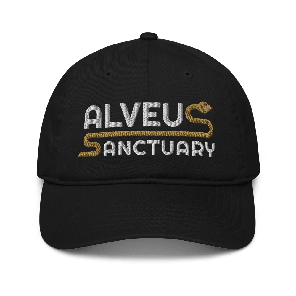 Noodle Hat product image (8)