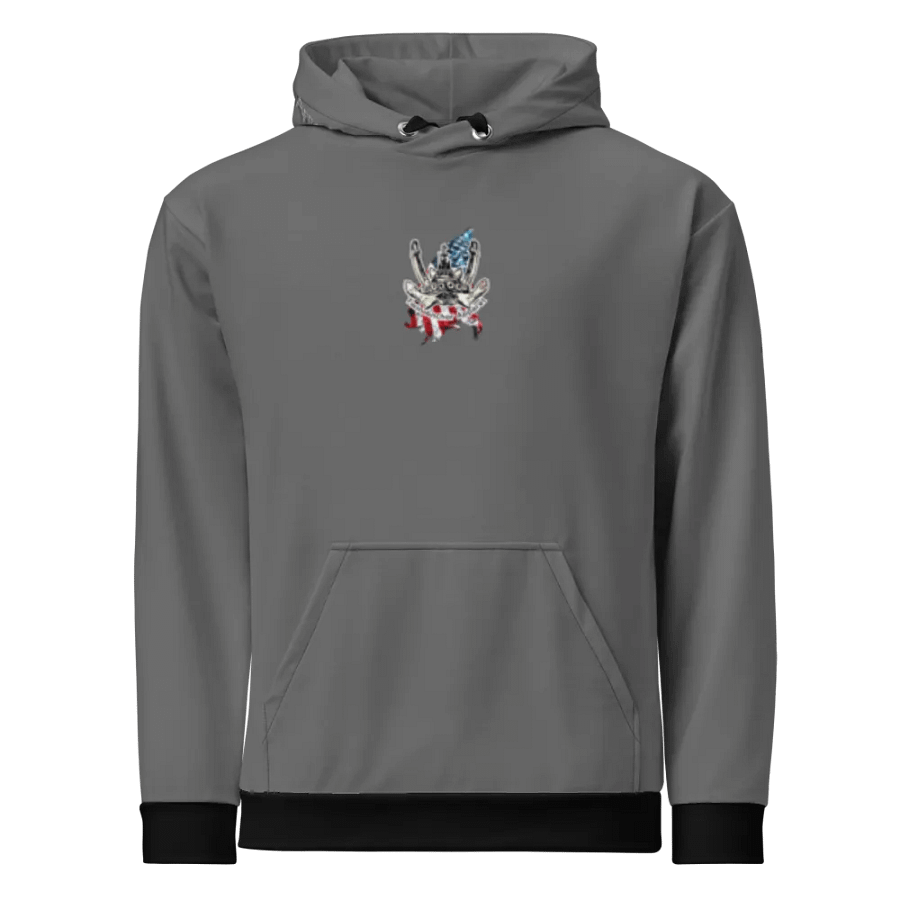 Gray Chain Athena Tug & CE Flage Hoodie product image (11)