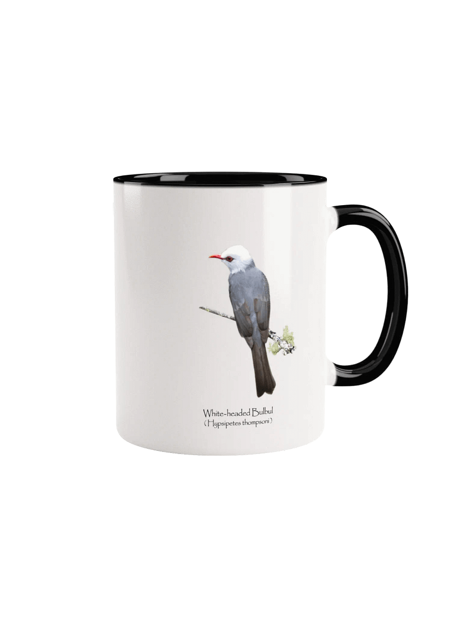 White-headed Bulbul mug product image (5)
