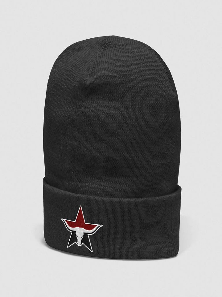 Austin Wranglers Hoodie product image (7)