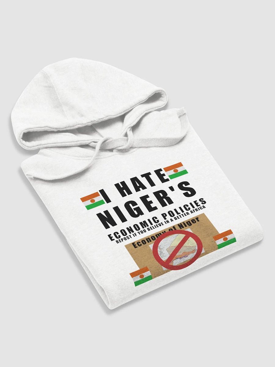 Economic policies hoodie product image (5)