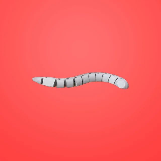 Snake | CTG 3D product image (1)