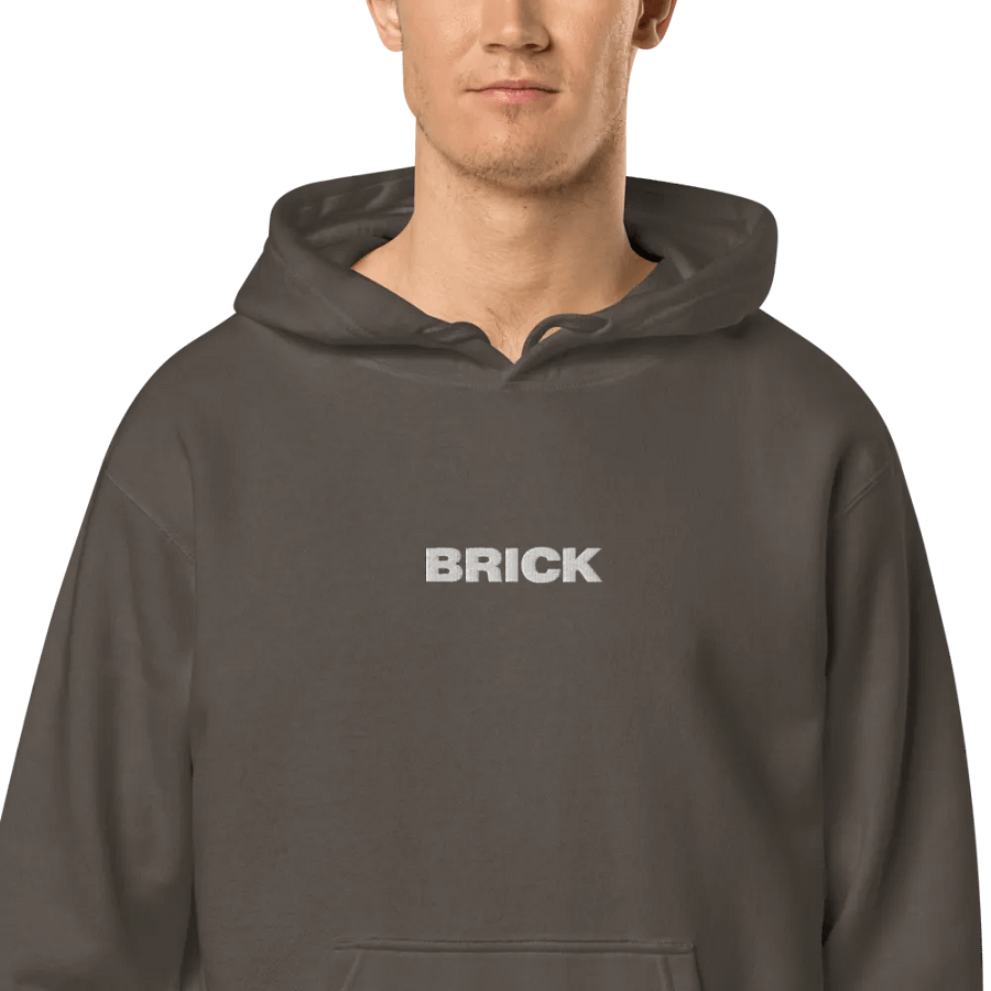 BRICK Embroidered Hoodie product image (2)