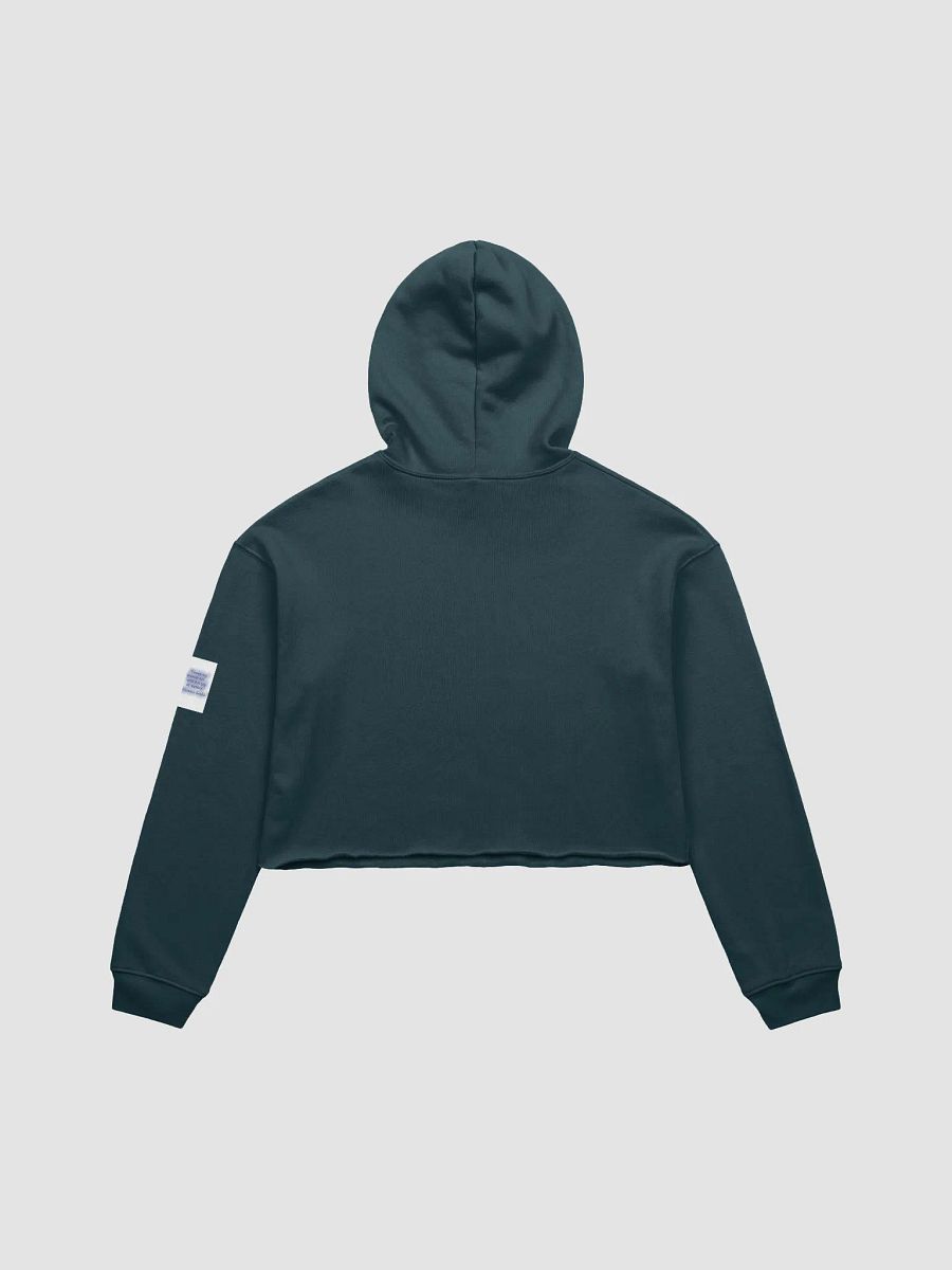 SinisterSushii Big ol' Battery Cropped Hoodie product image (17)