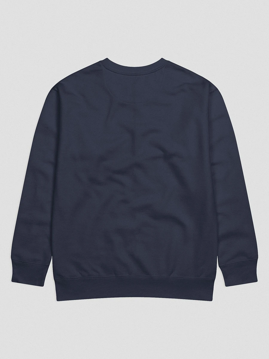 HYENA SWEATSHIRT product image (6)