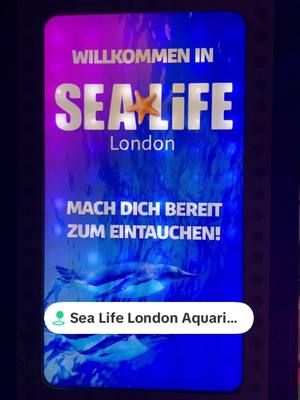 We spent a day in #London, specifically to go to @SEA LIFE UK! What a day! #adayinmylife #londontrip #sealife 