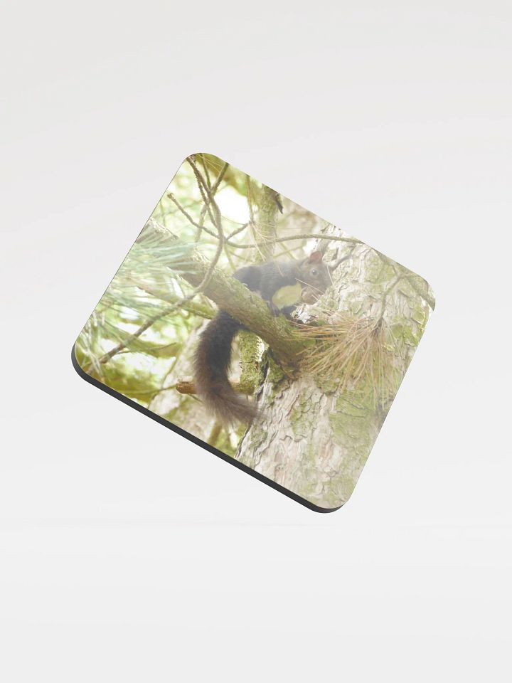 Glossed Cork Coaster - The Eurasian red squirrel product image (1)